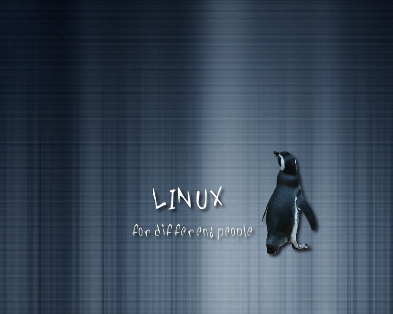 Penguin on Digital Background