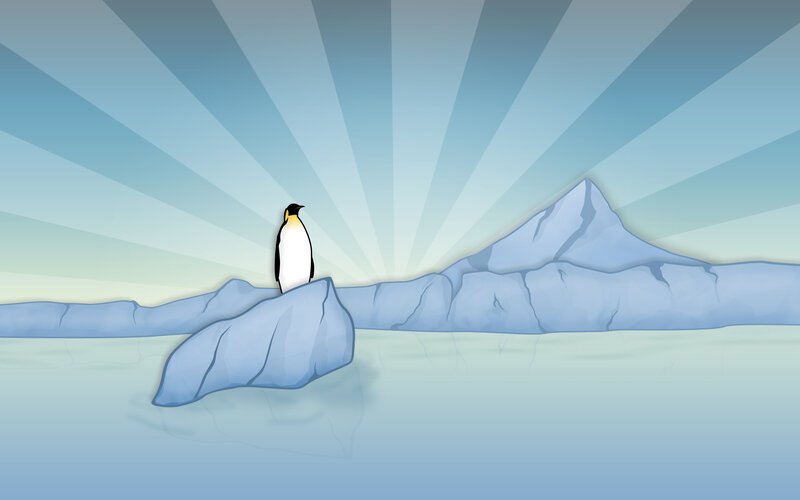 penguin on ice floe