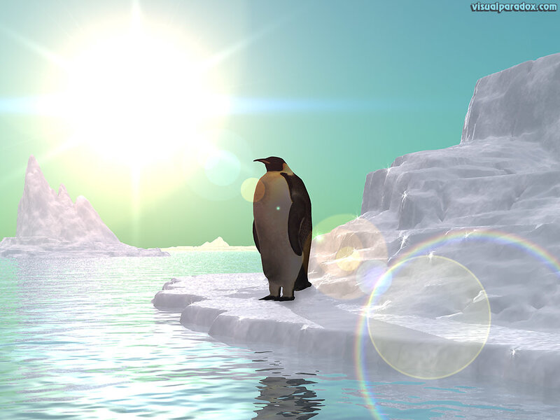 Penguin on ice floe