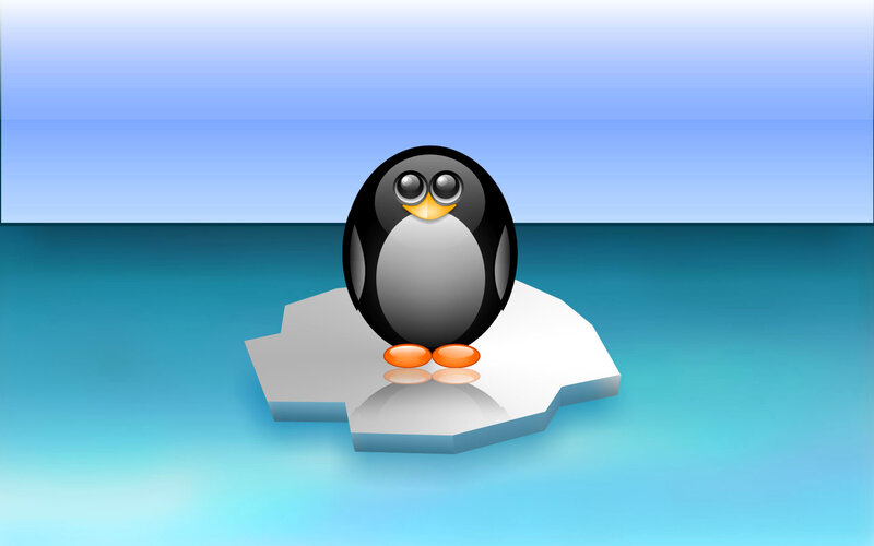 penguin on ice floe