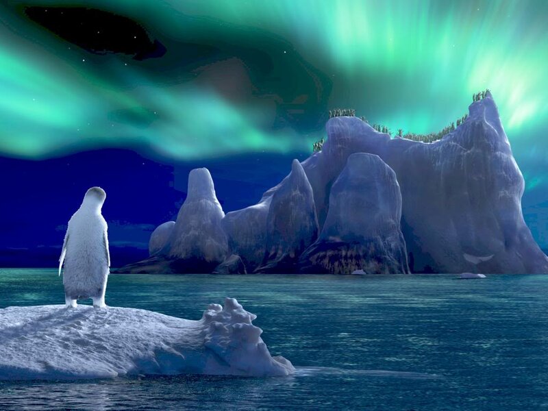 Penguin on Iceberg