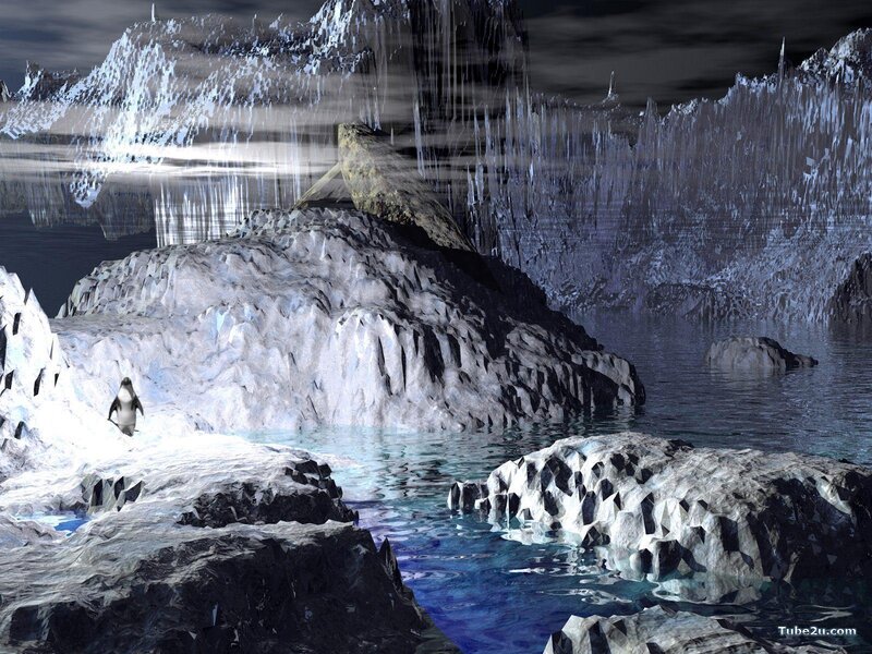 penguin on icy landscape