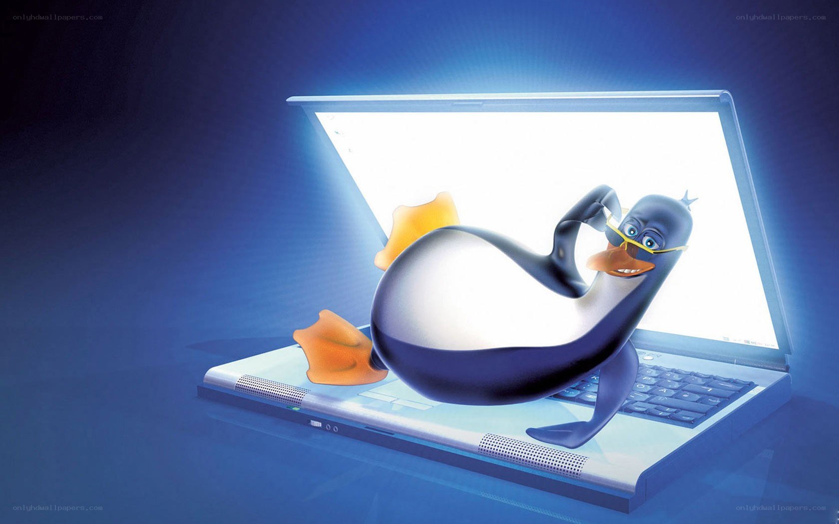 penguin on laptop screen