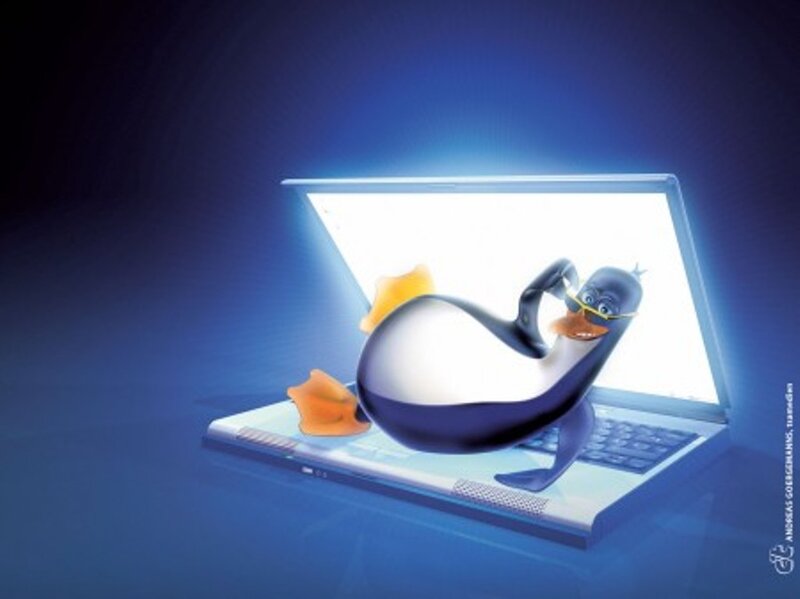 Penguin on Laptop