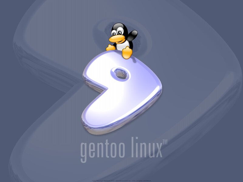 Penguin on Number Nine
