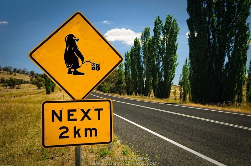Penguin on Road Sign