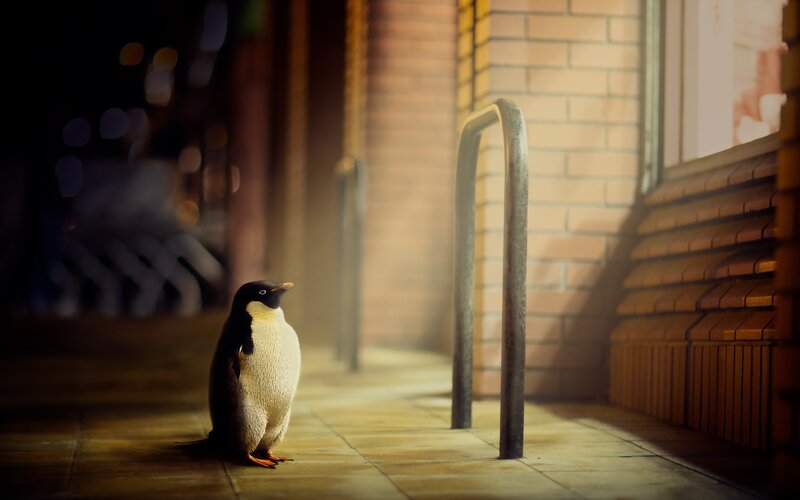 Penguin on Sidewalk — Brown