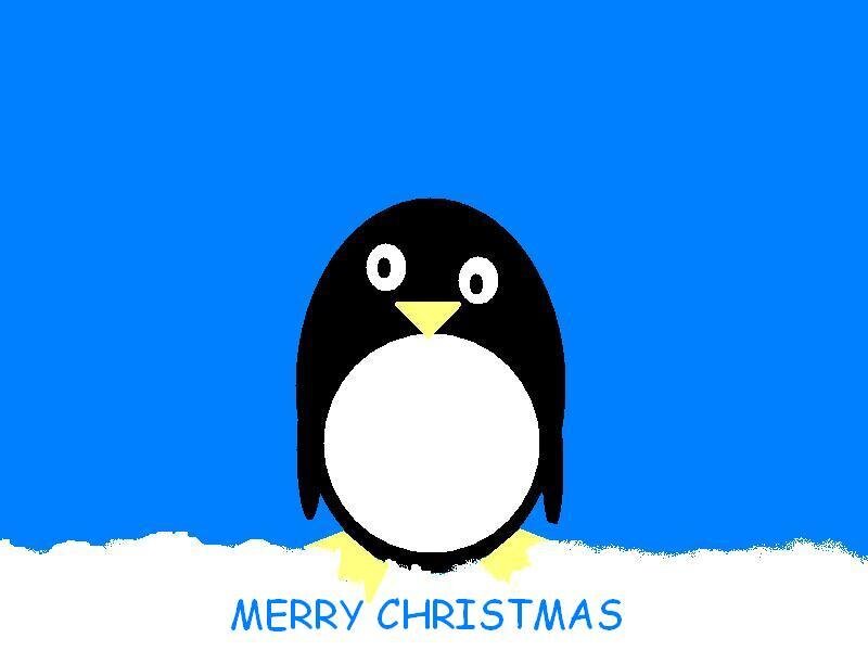 Penguin on Snow