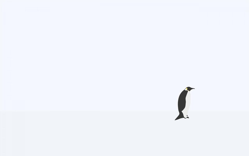 penguin on snowy plain