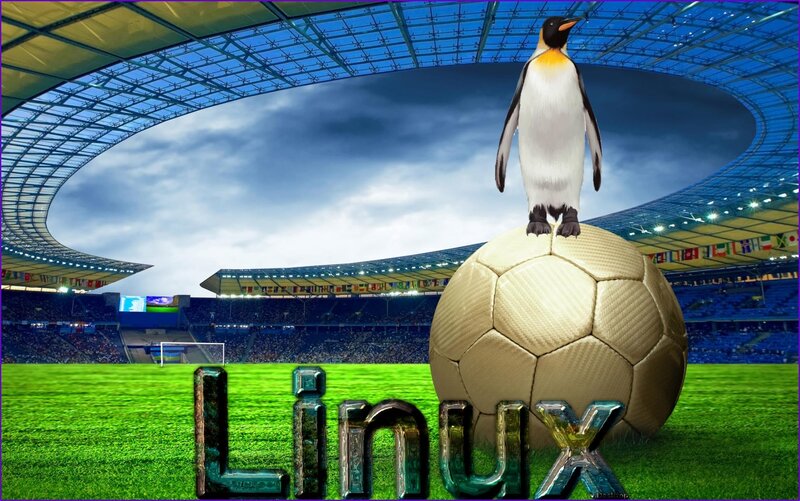 Penguin on Soccer Ball
