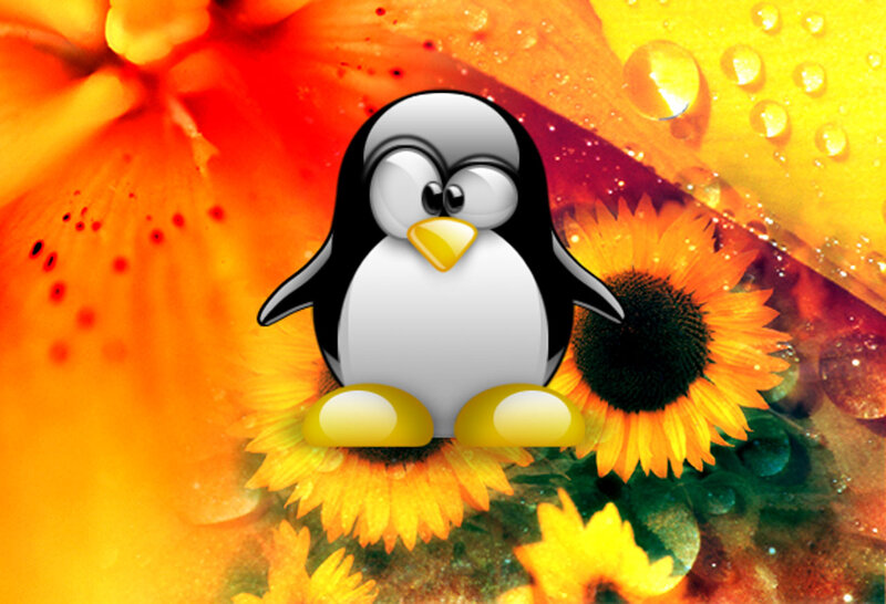 Penguin on Sunflowers