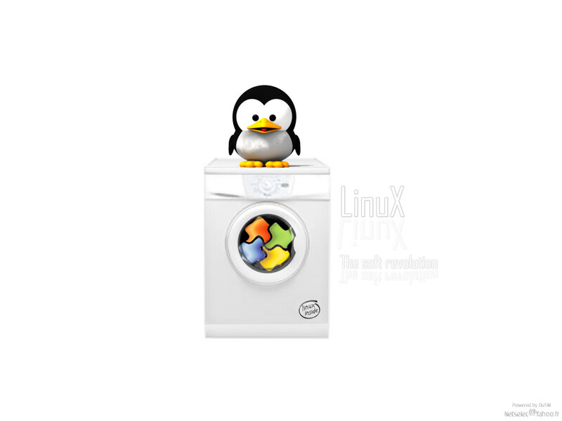 penguin on washing machine