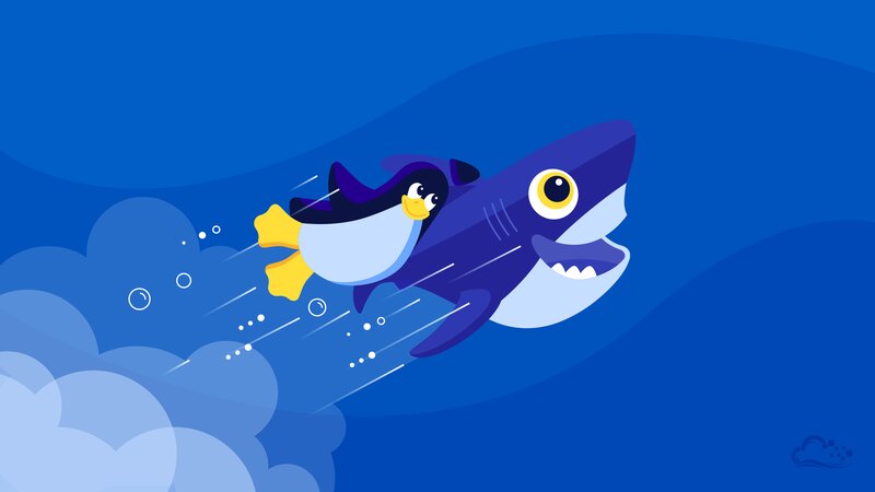 Penguin Riding Shark
