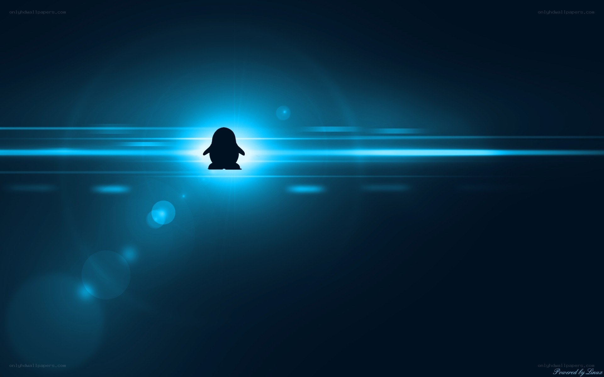 penguin silhouette with blue light