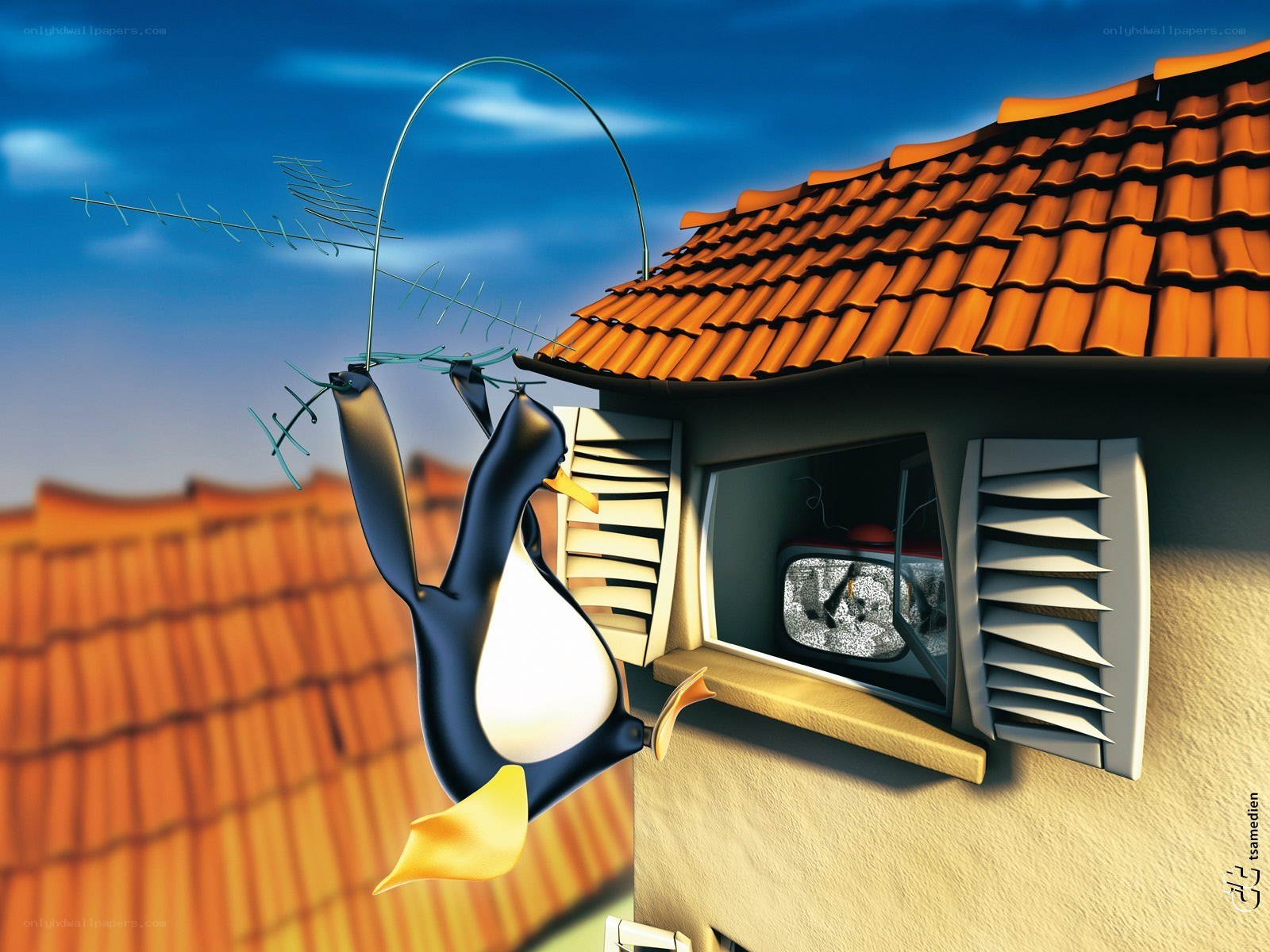 penguin stealing antenna