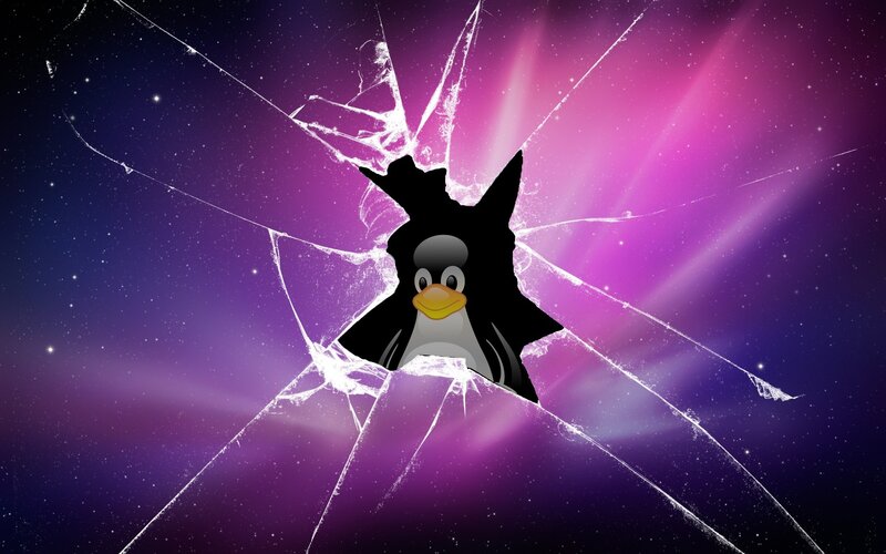 Penguin Through Broken Glass