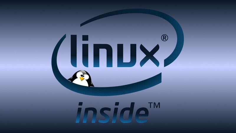 Penguin under Logo