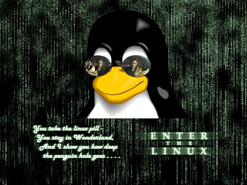 Penguin Wearing Glasses