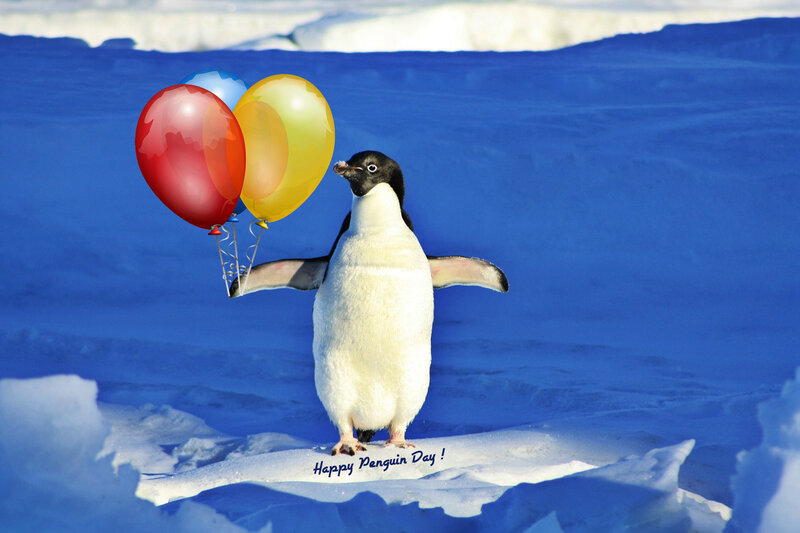 Penguin with Balloons — Blue