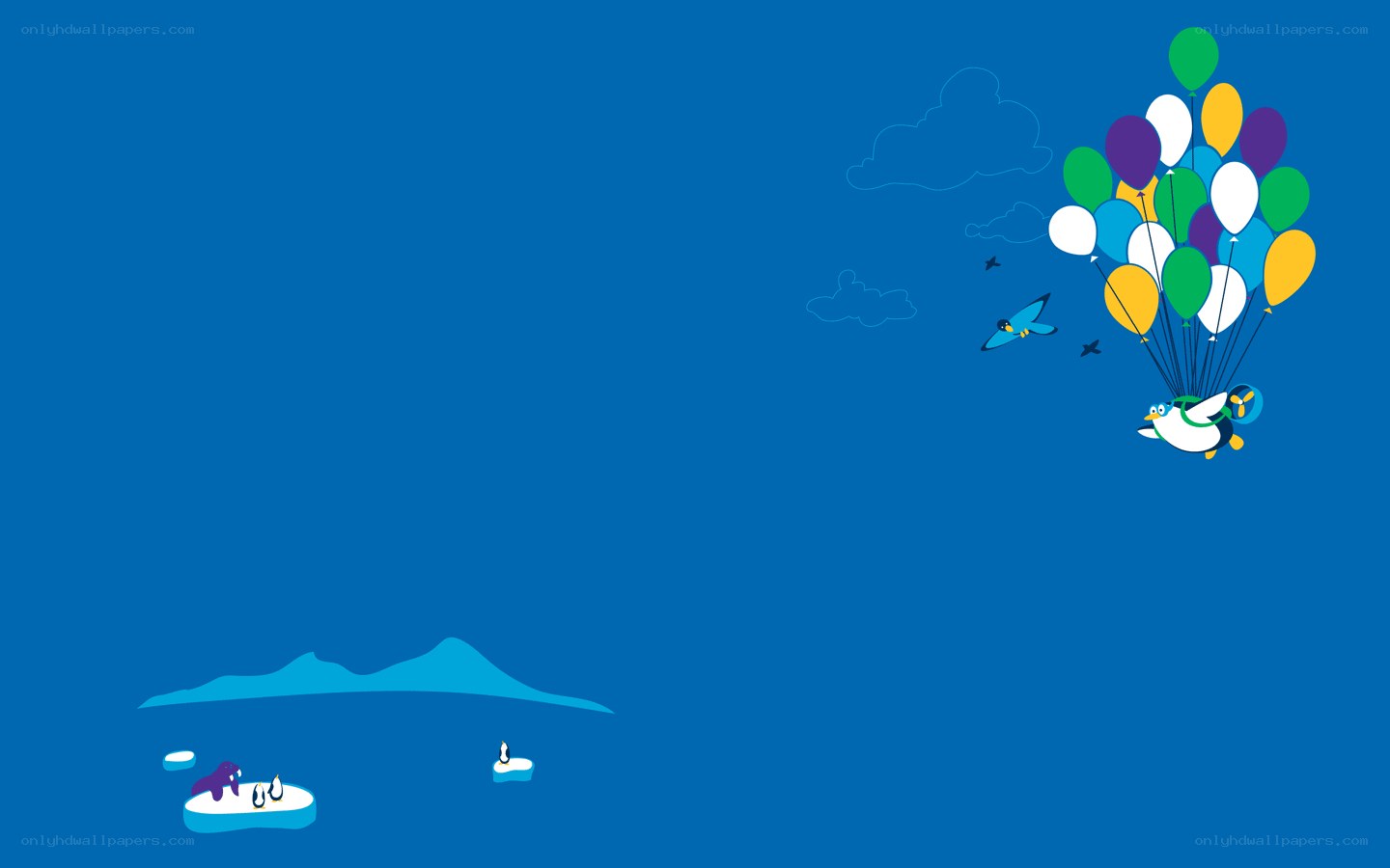 penguin with balloons in sky