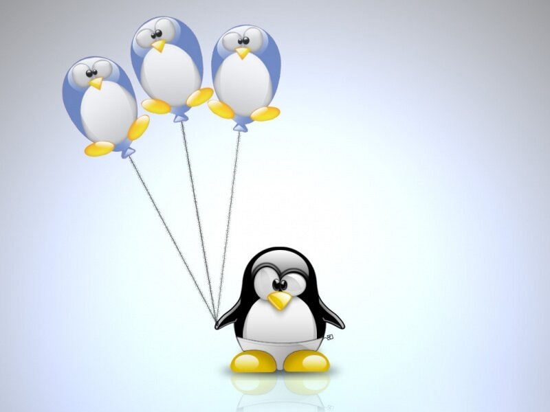 penguin with balloons