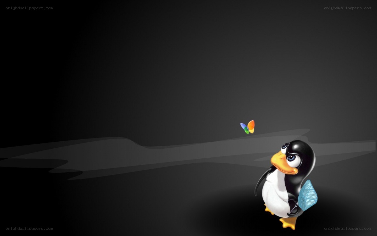 penguin with butterfly