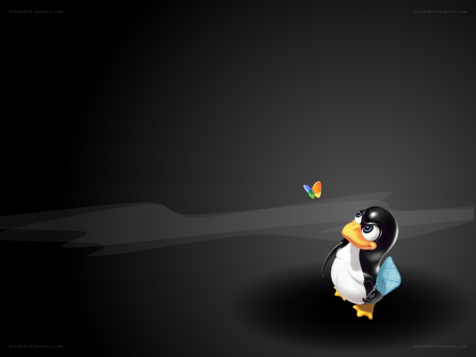 penguin with butterfly