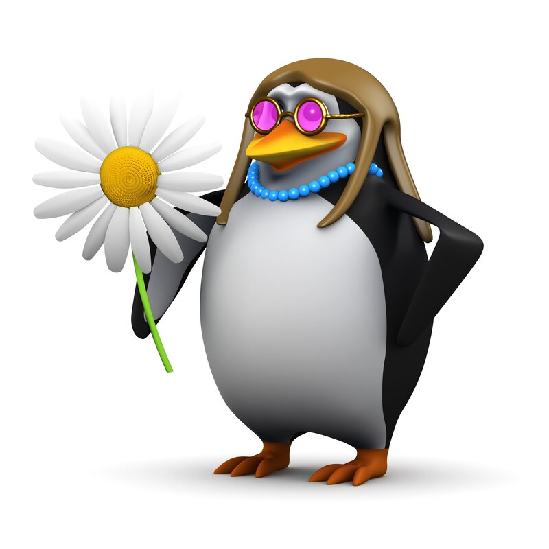 penguin with daisy flower