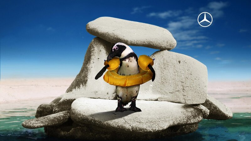 Penguin with Floaties — Blue