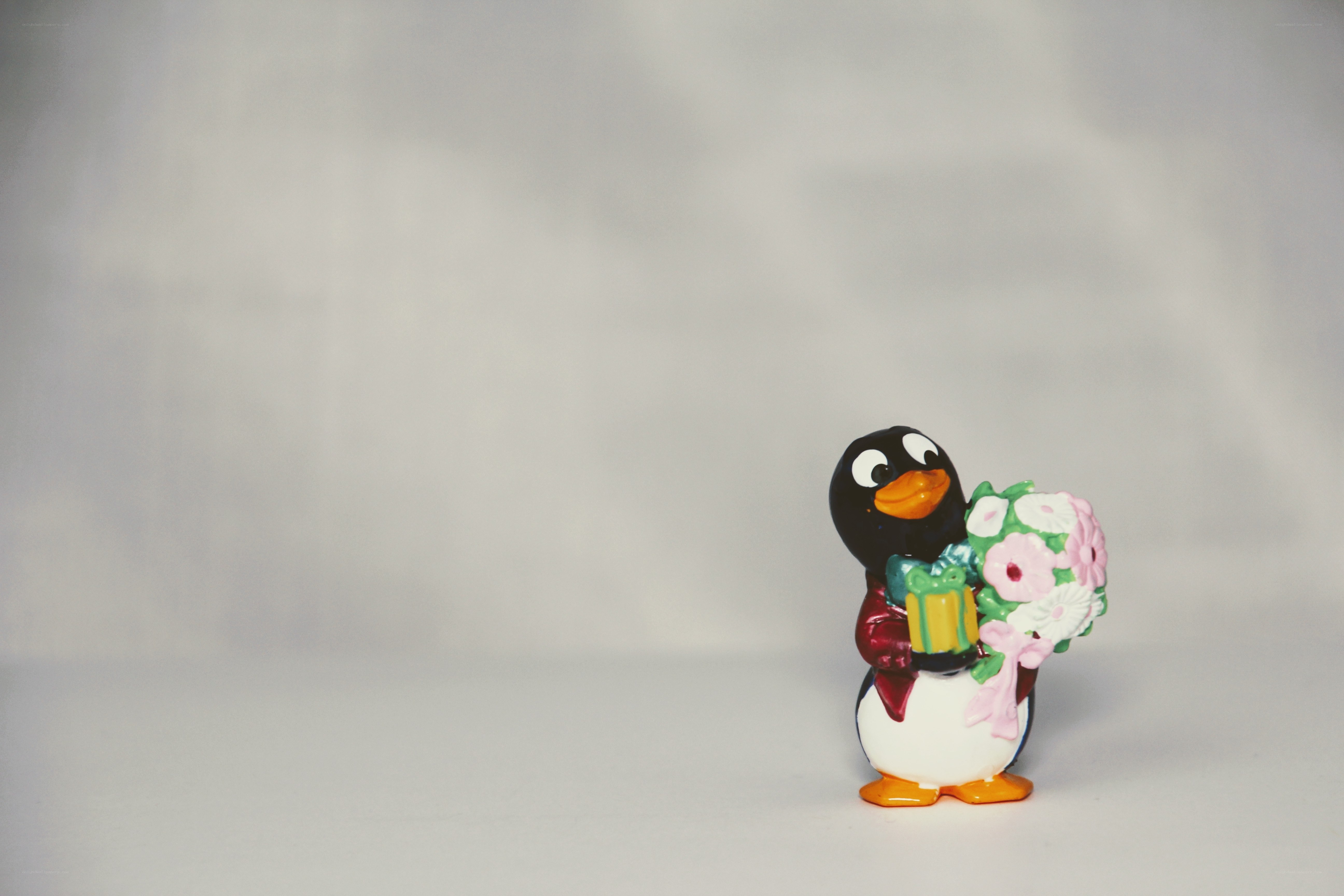 penguin with flowers and gift