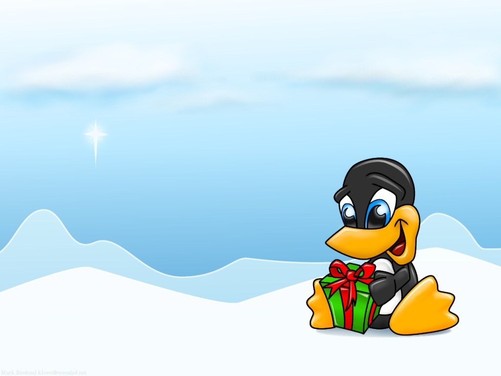 penguin with gift in snow