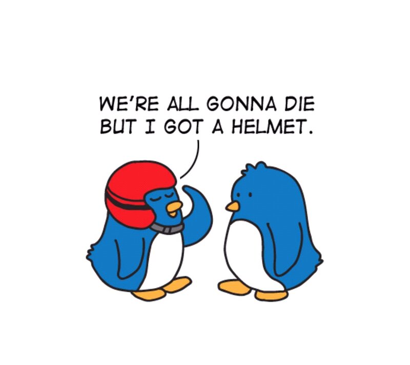 penguin with helmet