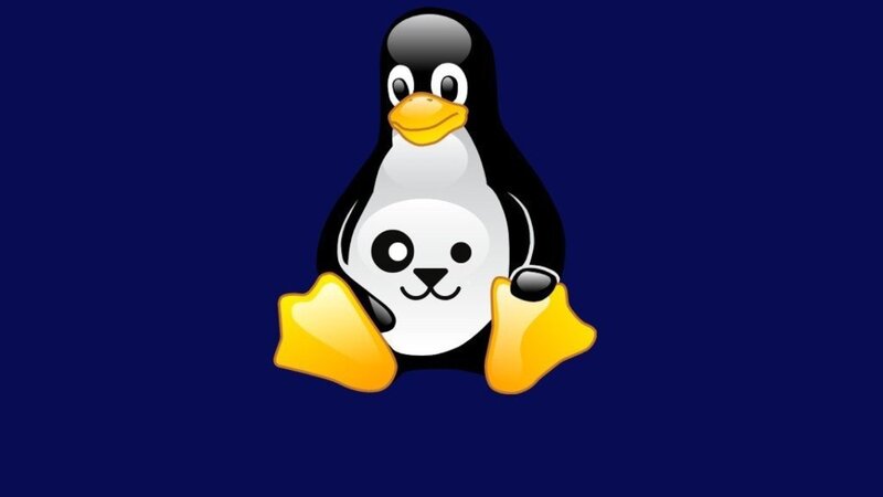 Penguin with Panda Face