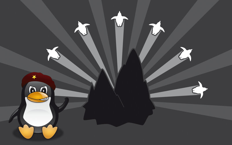 penguin with red beret and flying penguins