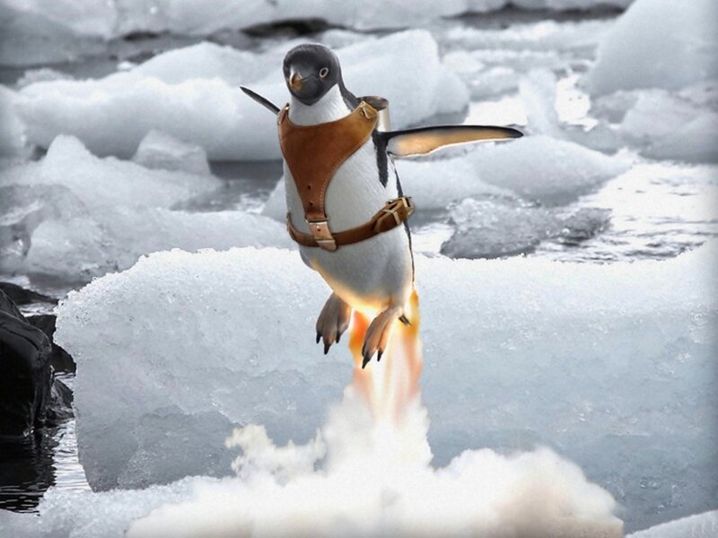 Penguin with Rocket Pack