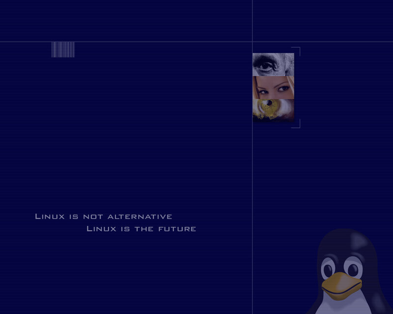 Penguin with Text