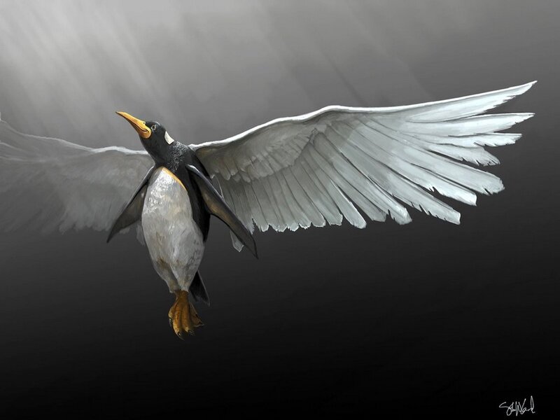 Penguin with Wings Spread — Black