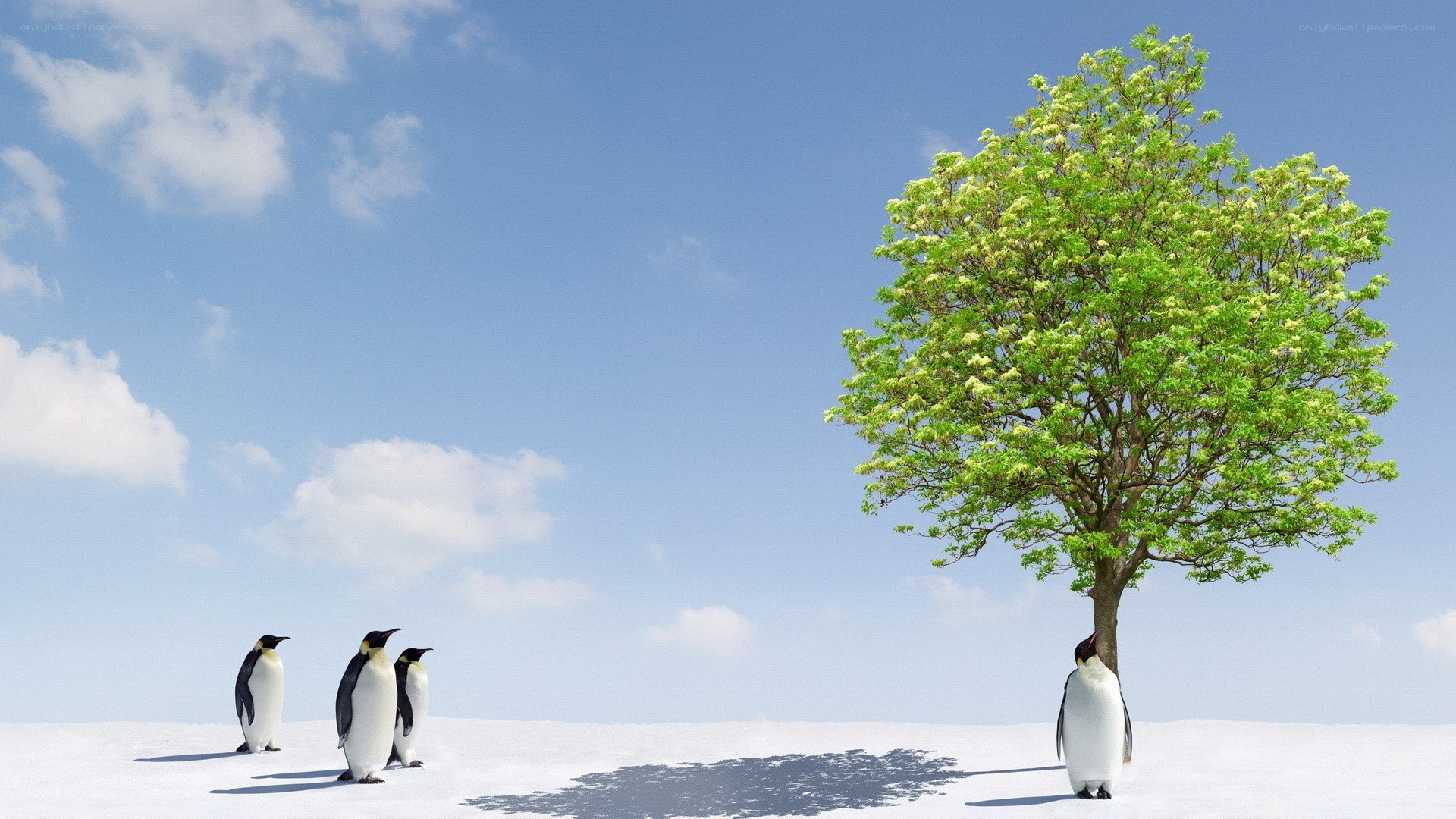penguins and a tree in snow
