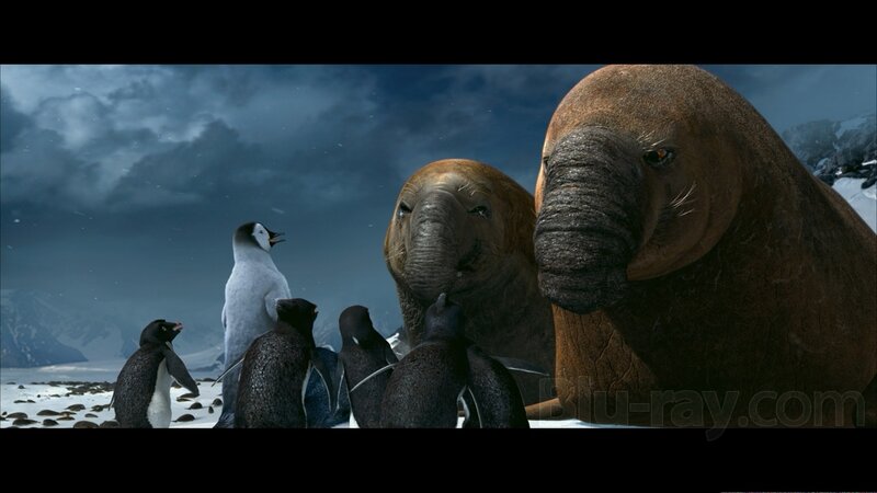 penguins and seals in snow