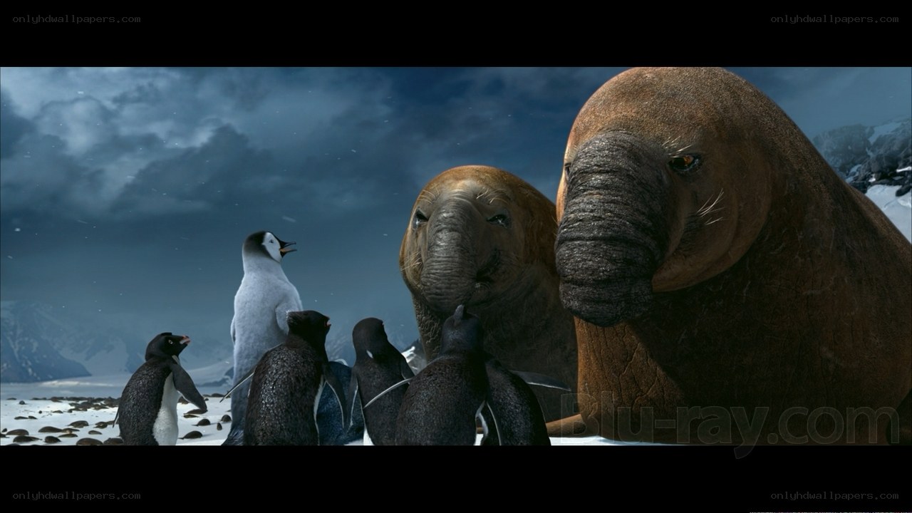 penguins and seals in snow