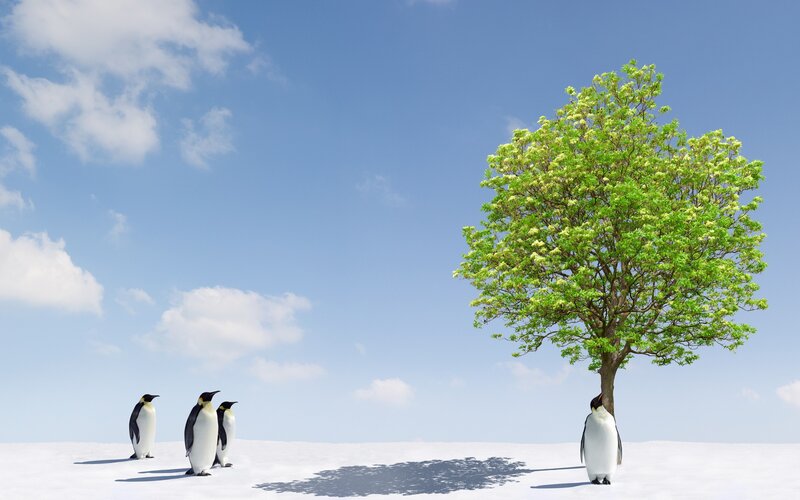 Penguins and Tree — White, Serene, Afternoon, 3d Render