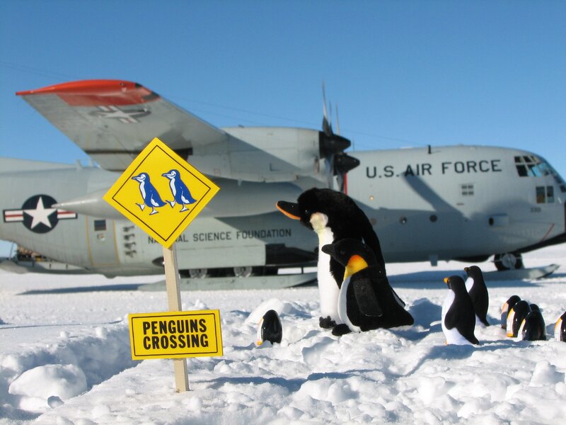 Penguins crossing sign in Antarctica