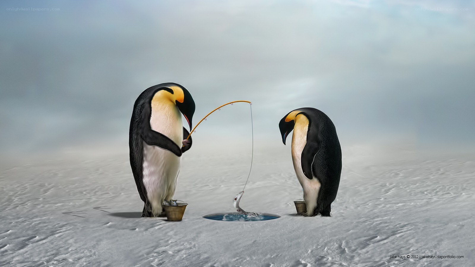 Penguins fishing on ice