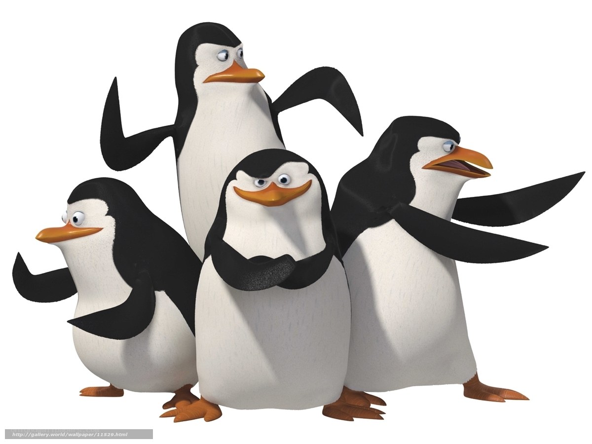 penguins from madagascar