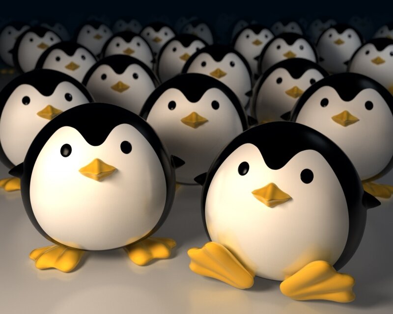 penguins in a crowd