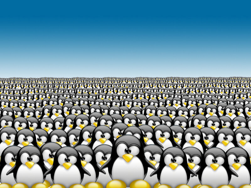 Penguins in a crowd
