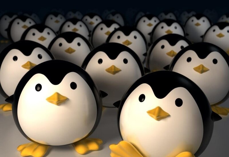penguins in a crowd
