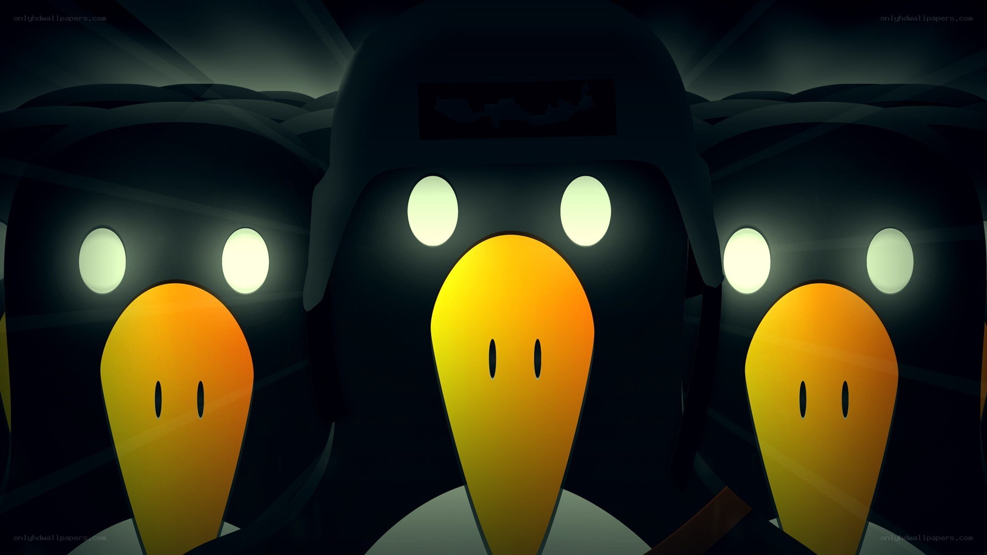 penguins in a dark tunnel