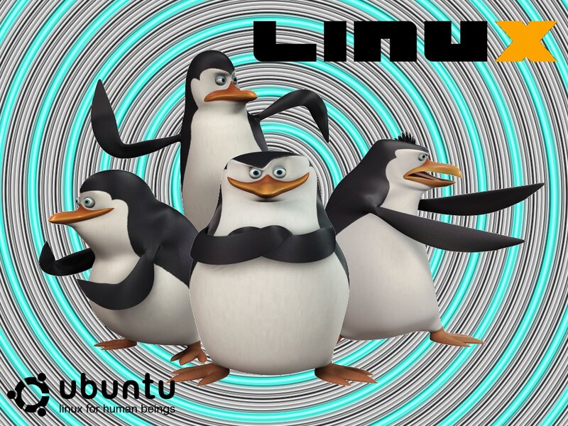 Penguins in a Group — Cyan