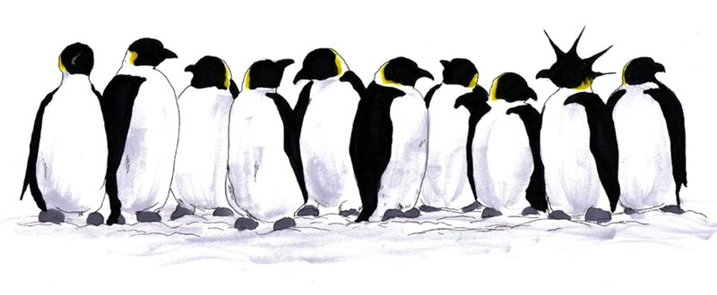 Penguins in a Line — Black